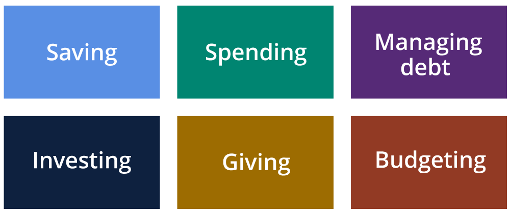 Brain diagram showing Plaques and Tangles