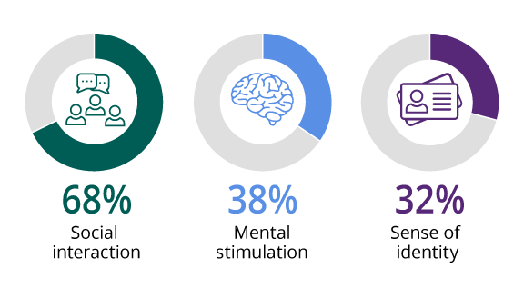 68% social interaction, 38% Mental stimulation, 32% Sense of identity
